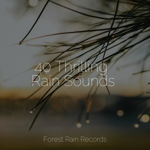 40 Thrilling Rain Sounds