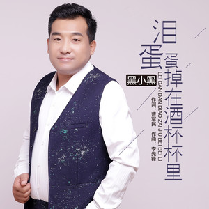 泪蛋蛋掉在酒杯杯里 (DJ何鹏版)