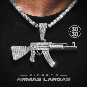 Fierros Armas Largas