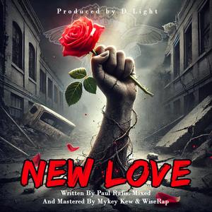 NEW LOVE (feat. Paul Rafis & D Light)