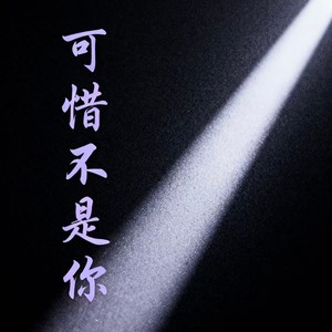 可惜不是你 (摇滚版)