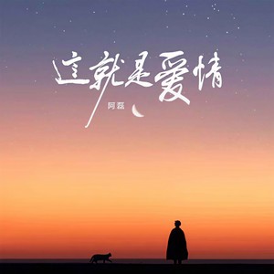 这就是爱情