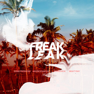 Freak Leak(feat. Mouseyouafool, Mighty Bay, Number9ok) (Explicit)