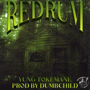 REDRUM (feat. DumbchIld) [Explicit]