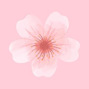 Cherryblossoms (Explicit)