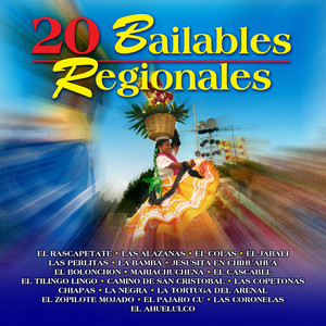 20 Bailables Regionales