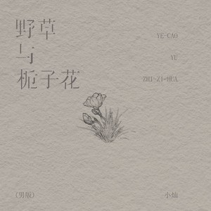 小灿 - 野草与栀子花 (DJ李想男版伴奏)