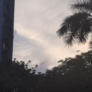 温柔 (还你自由版)