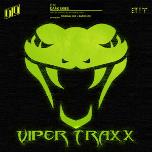 Dark Skies (Original Mix)
