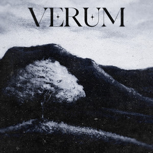 VERUM✦