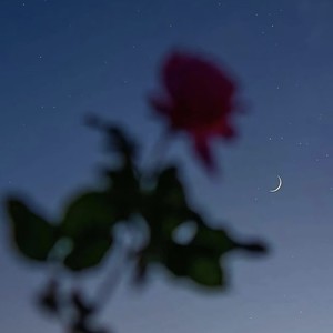 Power Nev (冷战奇迹小曲)