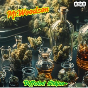 Up South (feat. Junie & C 4) (Explicit)