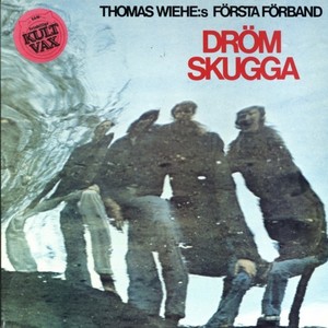 Drömskugga (Thomas Wiehe:s första förband)