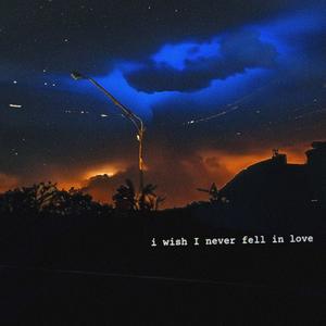 i wish i never fell in love