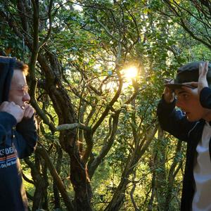 Occurrence (Explicit)