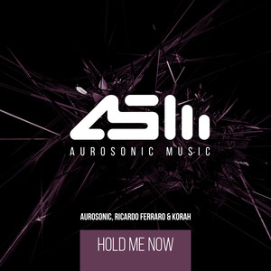 Hold Me Now (Extended Mix)