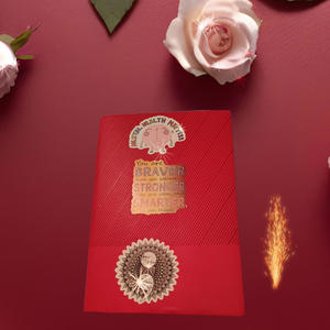 Dear diary (Explicit)