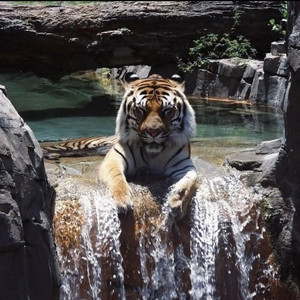 凌晨两点的北京