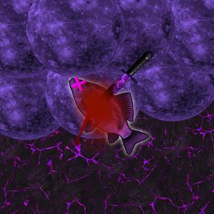 FUKKCARPRECORDS2023 (Explicit)