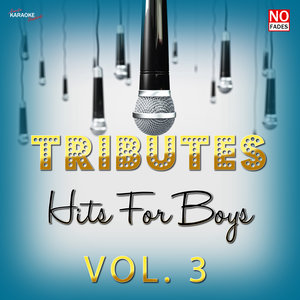 Tributes - Hits for Boys Vol. 3