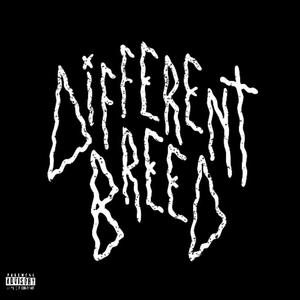 Different Breed (Explicit)