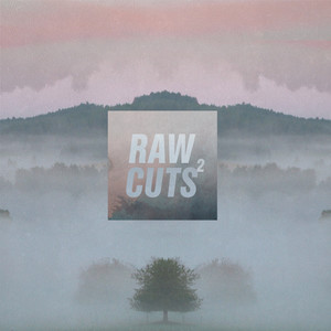 Chillhop Raw Cuts 2