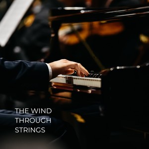 The Wind Through Strings