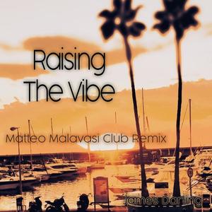 Raising the vibe (Matteo Malavasi Club Remix)