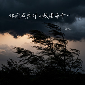 你问我为什么顽固而专一-李特立