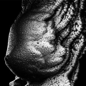 Nocturne (feat. Loky) (Explicit)