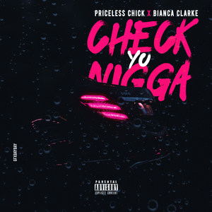 Check Yo Nigga (Explicit)