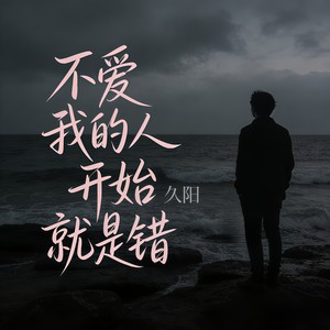 不爱我的人开始就是错封面