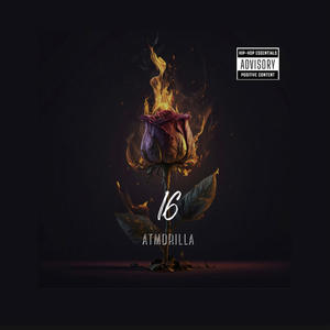 16 (Explicit)