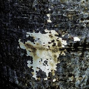 It Shall Be Revealed