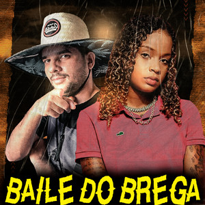 Baile do Brega(feat. Mc Dricka) (Remix)
