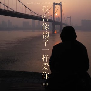 我曾像傻子一样爱你封面