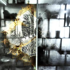 no phase (ft. BabyBelial & 4rozen)