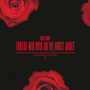 Fortæl mig hvis du vil noget andet