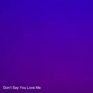 Don't Say You Love Me