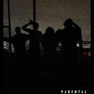 Love too fly (Explicit)