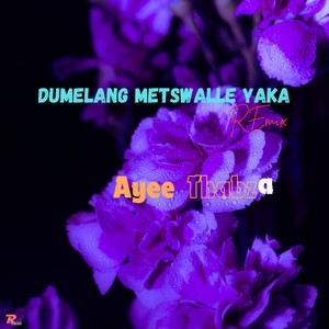 Dumelang Metswalle Yaka (Remix)