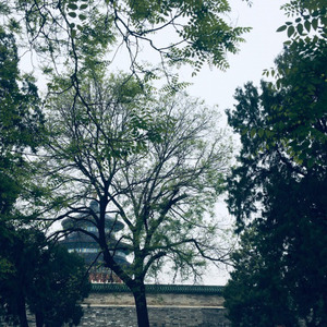 太平歌词《白蛇传》 (39秒片段)