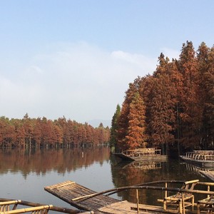 国色天香满江南