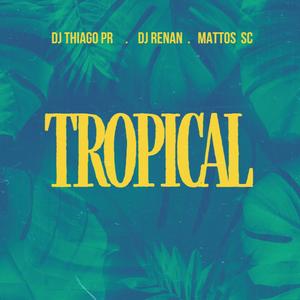 Mega Tropical (feat. MATTOS SC & DJ Thiago PR)