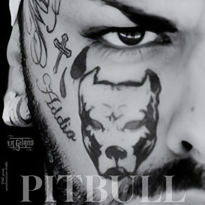 PITBULL (Explicit)