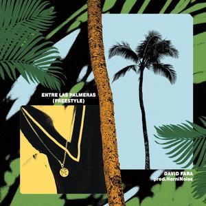 Entre Las Palmeras (Freestyle) (feat. HerniNoise)