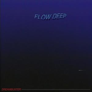 Flow Deep