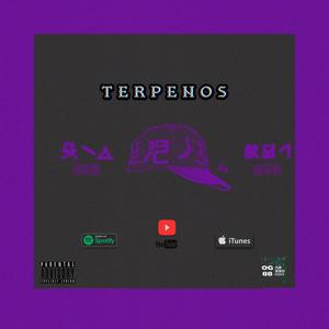 We´Ve Got the jazz (Explicit)