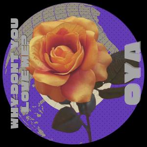 WHY DONT YOU LOVE ME (Radio Edit)