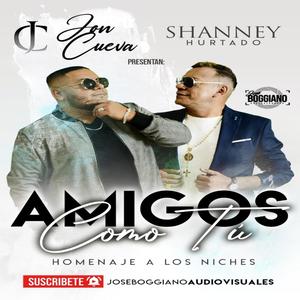 Amigos Como Tu(Homenaje a Los Niches)